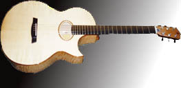 Schuetz-Gitarre